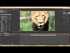 How to Stretch and Compress Footage