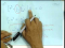 Solving the Wave Equation