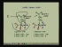 Amino Acids I