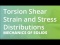 Torsion Shear Strain and Stress Distributions