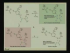 Enzyme Mechanisms II