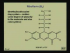 Vitamins and Coenzymes II