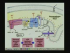 Bioenergetics II