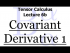 The Covariant Derivative