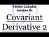 The Covariant Derivative II