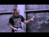 Complexity: P, NP, NP-completeness, Reductions