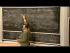The Scaling Hypothesis Part 1