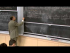 Perturbative Renormalization Group Part 1