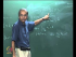 Sequences of Real Numbers - continued