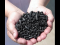 Pyrolysis & Liquefaction