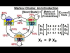 What are Markov Chains: An Introduction