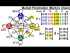 Markov Chain Applied to Market Penetration