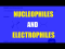Nucleophiles and Electrophiles can react in Lewis Acid Base Reactions