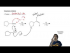 Double halogenation of alkynes