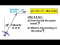 Find Distance and Bearing of Airplane