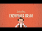 Meet Your Master: Getting to Know Your Brain
