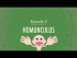 Homunculus