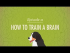 How to Train a Brain