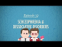 Schizophrenia & Dissociative Disorders