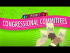 Congressional Committees