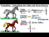 Calculating the Odds and Horse Racing