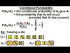 Conditional Probability Explained
