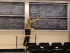 Partition Function (q) - Large N Limit