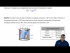 Heat capacity vs Specific Heat Capacity
