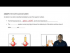 The Spin Quantum Number