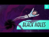 Black Holes