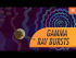 Gamma-Ray Bursts