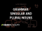 Introduction to singular and plural nouns