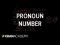 Pronoun number | The parts of speech