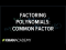 Example 4: Factor a polynomial with two variables by taking a common factor