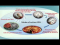 Biological Control - Microbes: Entomopathogenic Nematodes
