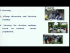 Agro-ecosystem Analysis