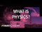 Introduction to physics | One-dimensional motion