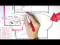 Female Reproductive System - Menstrual Cycle, Hormones and Regulation