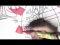 Respiratory System - Overview