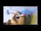 DNA replication