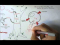 Cells Overview