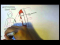 Temperature Homeostasis (Regulation)