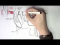 Reproductive System - Male Overview