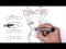 Visual Pathway and Lesions