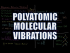 Polyatomic Molecular Vibrations