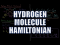 Hydrogen Molecule Hamiltonian