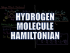 Hydrogen Molecule Hamiltonian