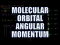 Molecular Orbital Angular Momentum