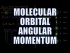 Molecular Orbital Angular Momentum