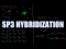 sp3 Hybridization